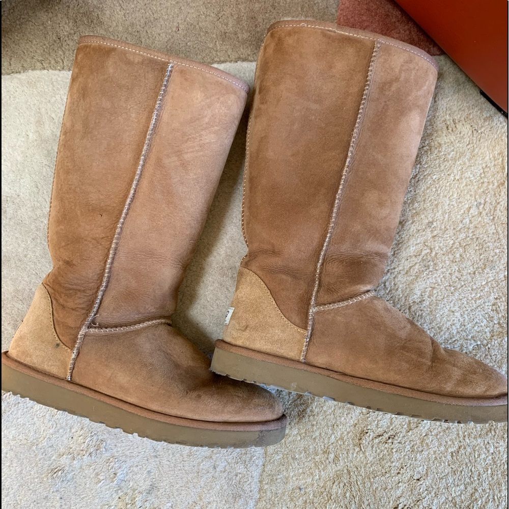 Ugg Boots - tall